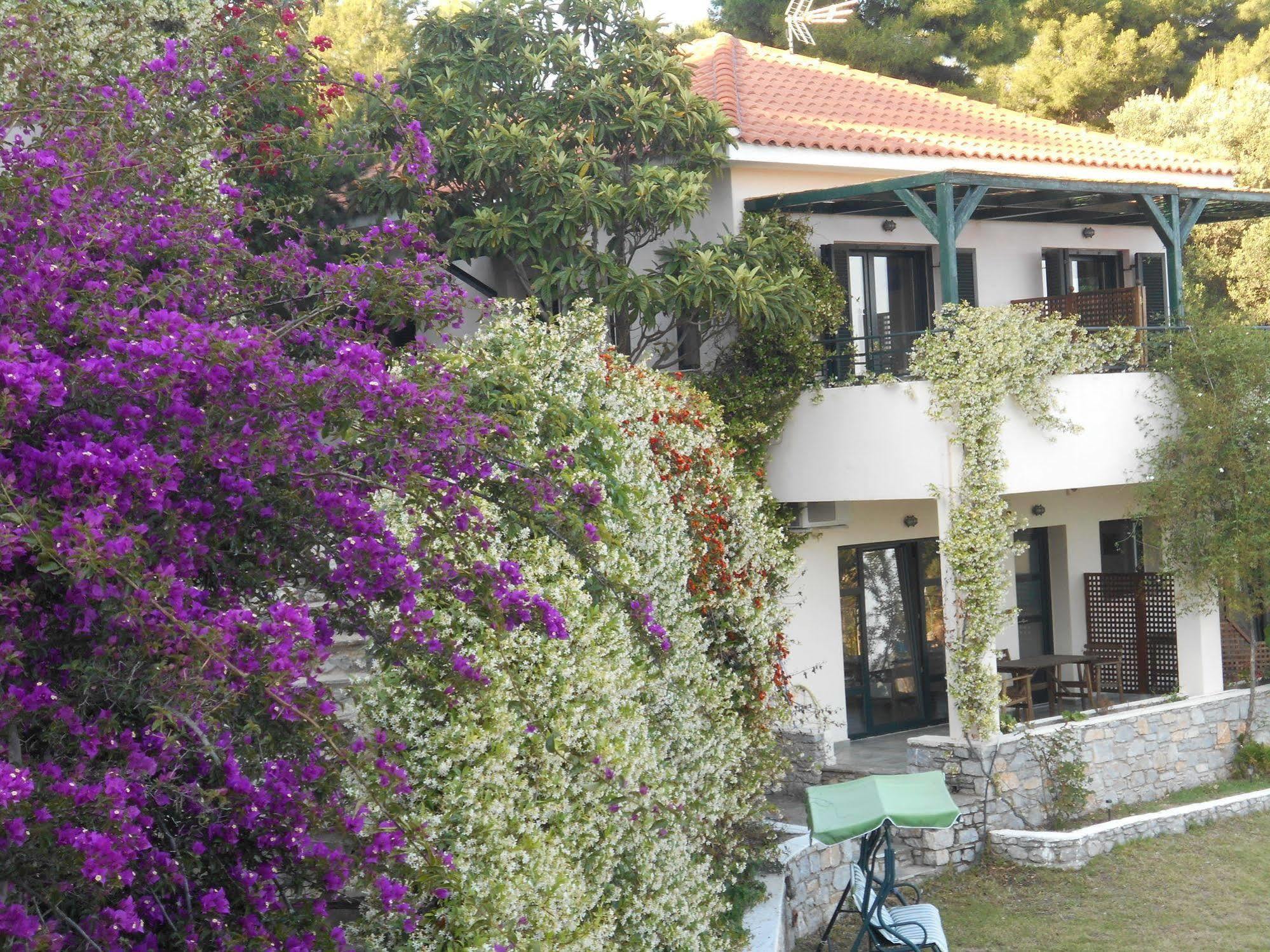 Aparthotel Helen'S 11 Boutique Achladies  Esterno foto
